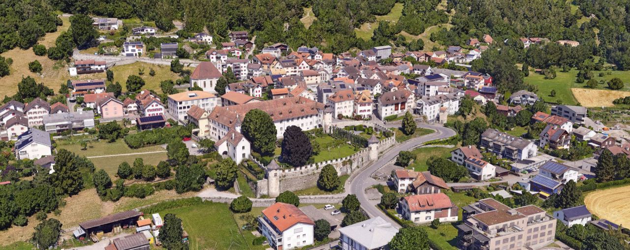 Textured 3D mesh of a village with a castle, a walled garden and round towers at the edge of the forest