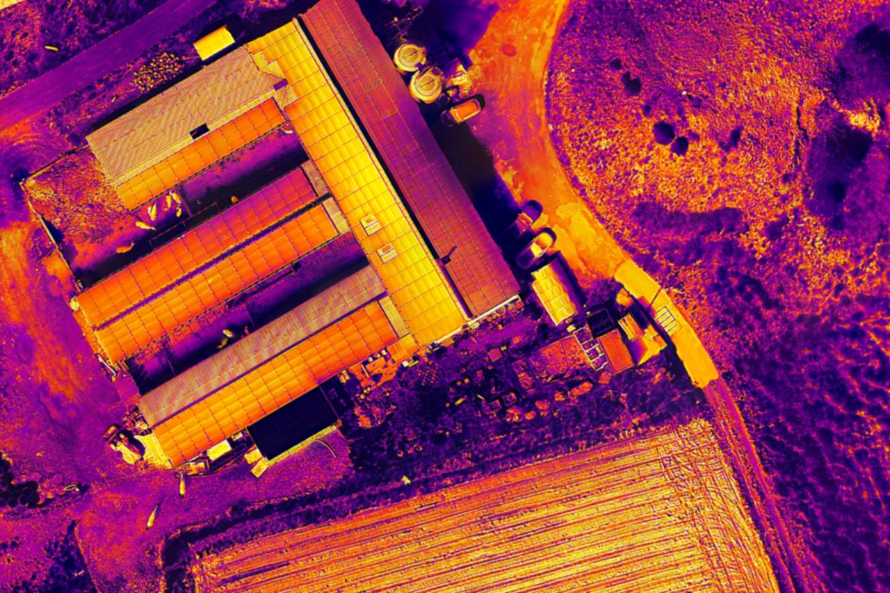 Thermal-Orthomosaik eines Hofs mit Hallen und Feld, warme Flächen erscheinen hell, kühle dunkel